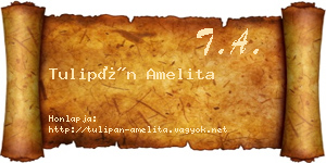 Tulipán Amelita névjegykártya